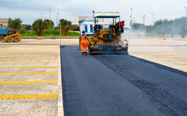 Best Professional Driveway Pavers  in Mayville, ND