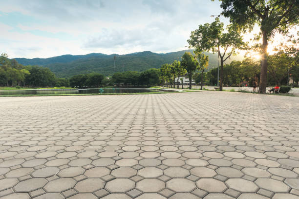 Best Driveway Pavers Near Me  in Mayville, ND