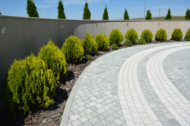 Best Custom Driveway Pavers  in Mayville, ND