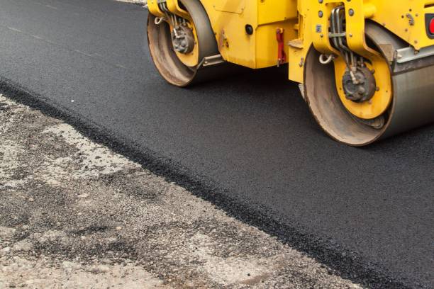 Best Local Driveway Pavers  in Mayville, ND